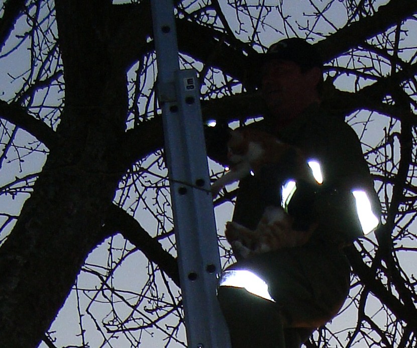 Tierrettung 20090402.jpg